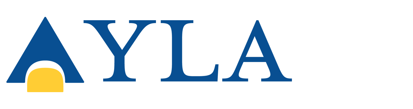 Youth Leadership Academy